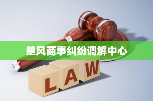 楚風商事糾紛調(diào)解中心破產(chǎn)清算服務 專業(yè)、高效、公正的債務解決方案